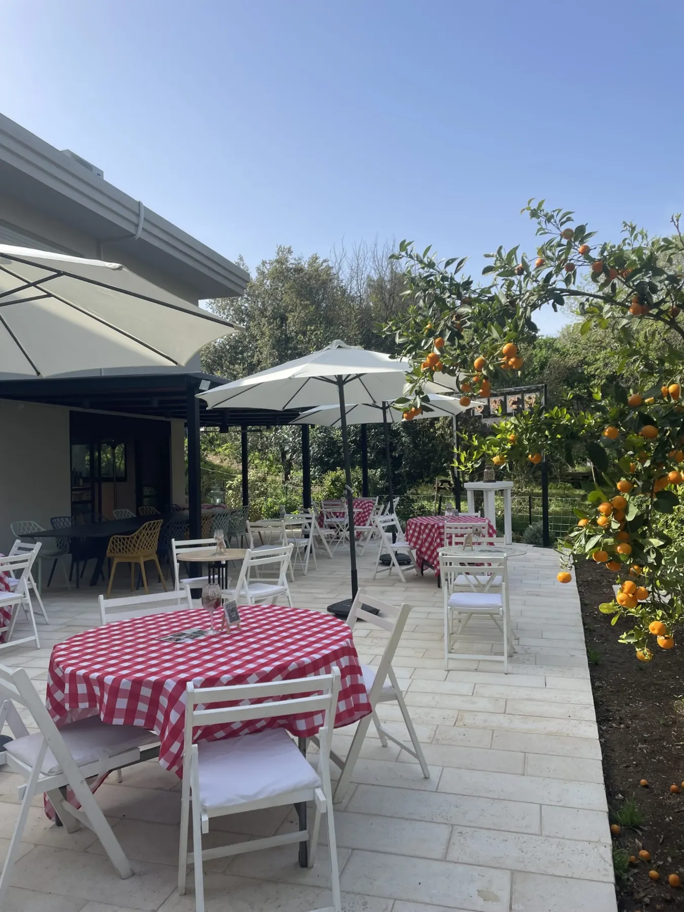 פינות הישיבה של Wine Garden בין עצי הגן